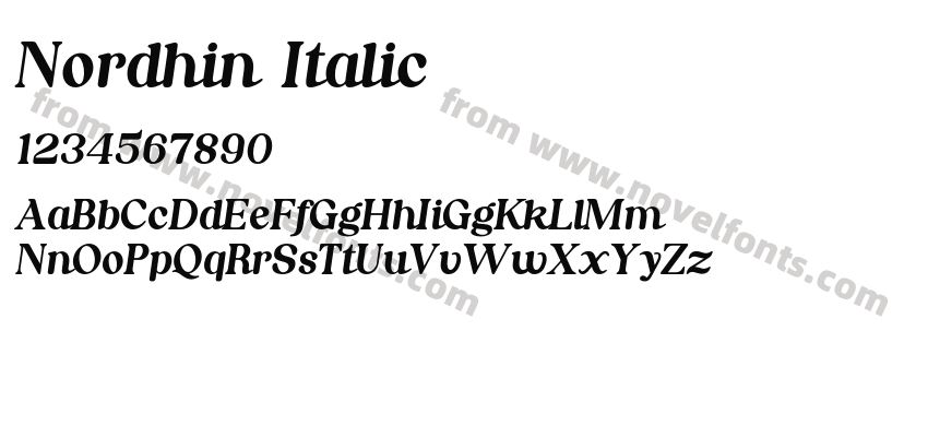 Nordhin ItalicPreview