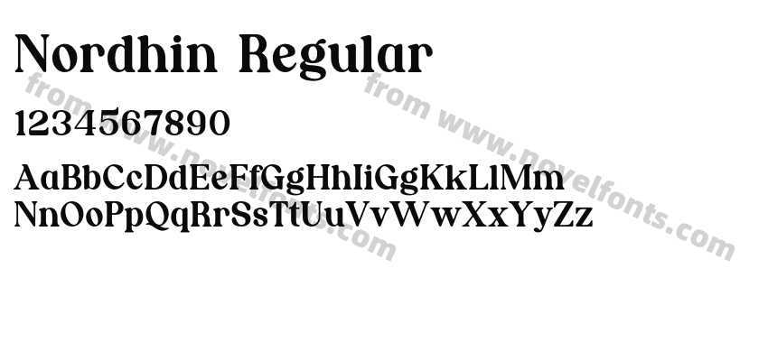 Nordhin RegularPreview