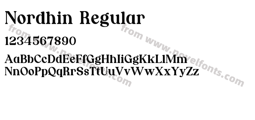 Nordhin RegularPreview