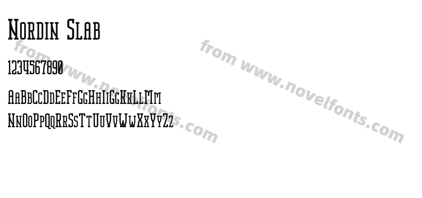 Nordin SlabPreview