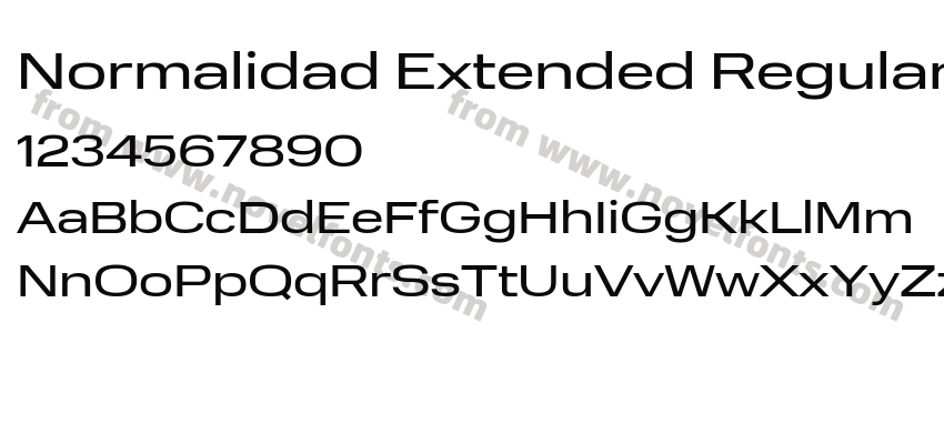 Normalidad Extended RegularPreview