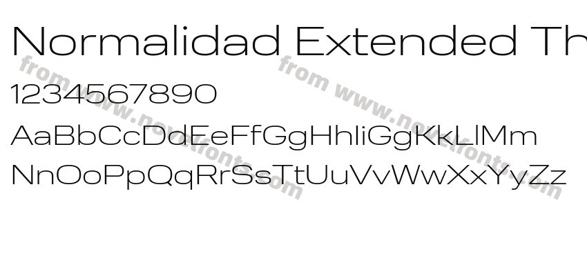 Normalidad Extended ThinPreview