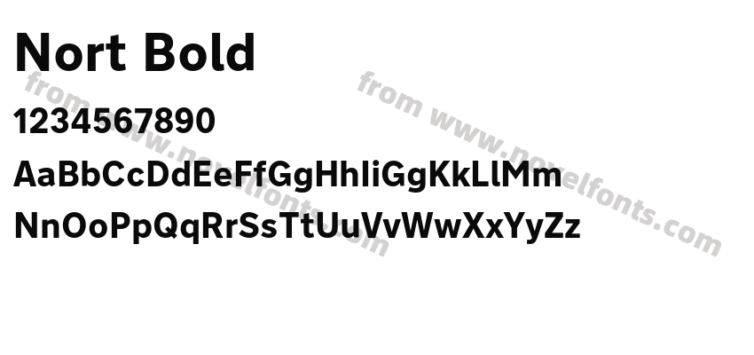 Nort BoldPreview