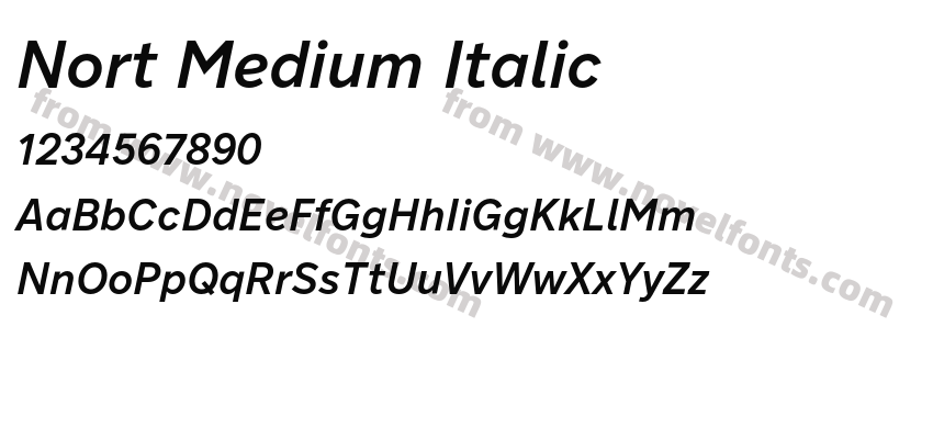 Nort Medium ItalicPreview