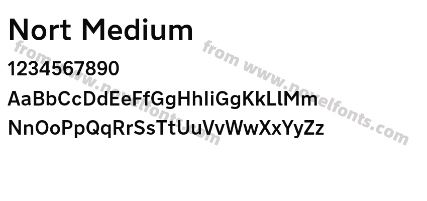 Nort MediumPreview