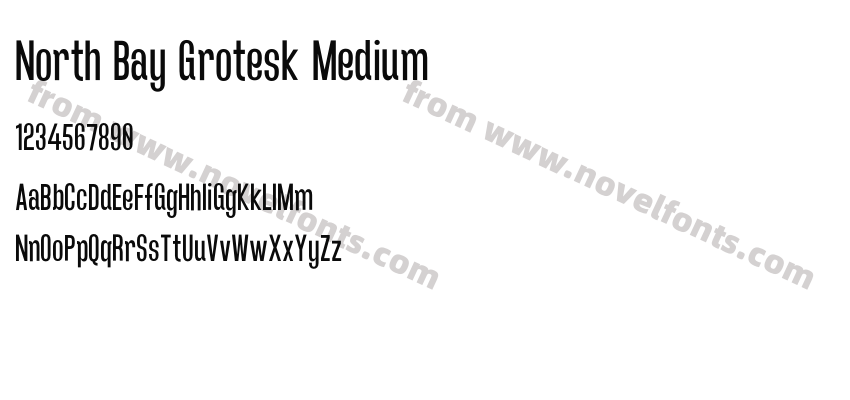 North Bay Grotesk MediumPreview