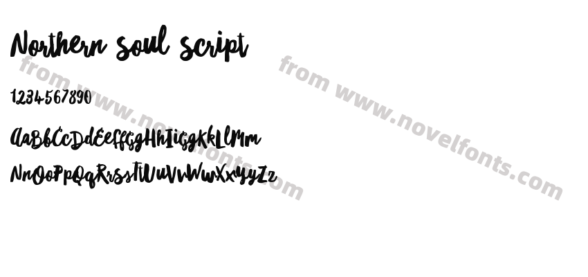 Northern Soul ScriptPreview