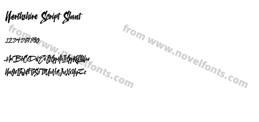 Northshire Script SlantPreview