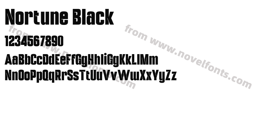 Nortune BlackPreview