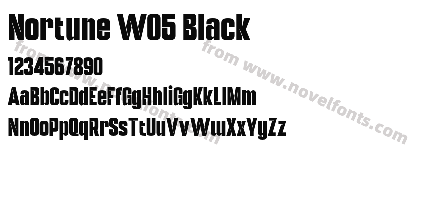 Nortune W05 BlackPreview