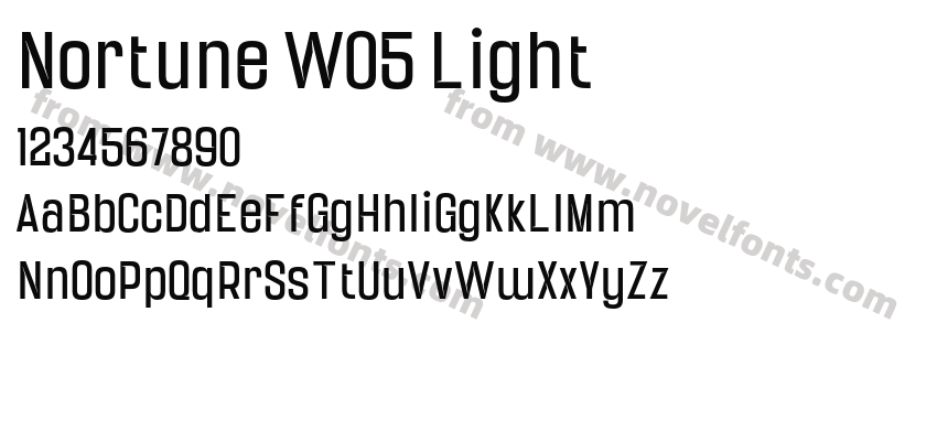 Nortune W05 LightPreview