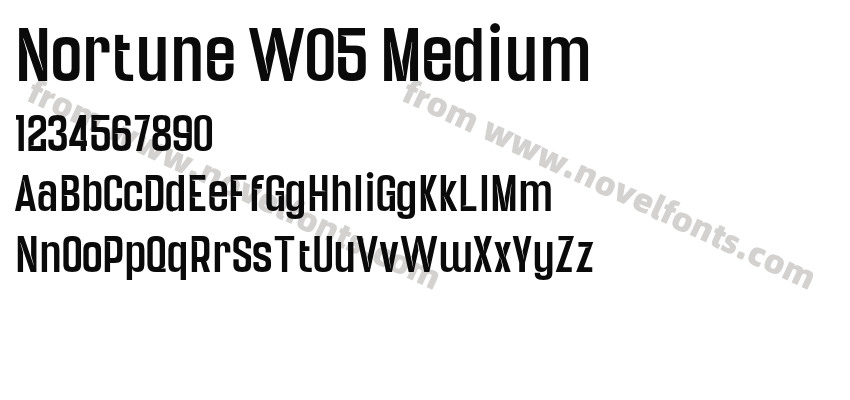 Nortune W05 MediumPreview