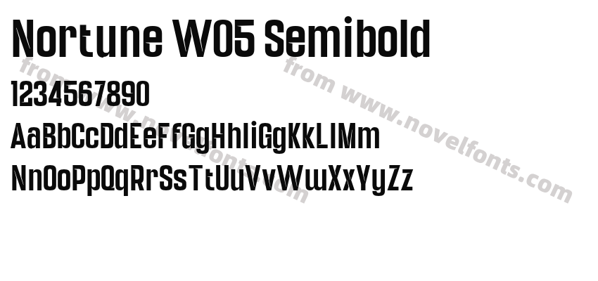 Nortune W05 SemiboldPreview