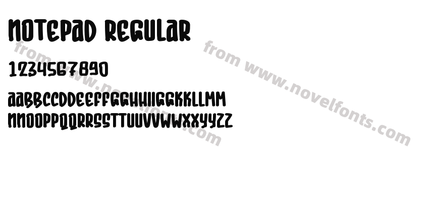 Notepad RegularPreview