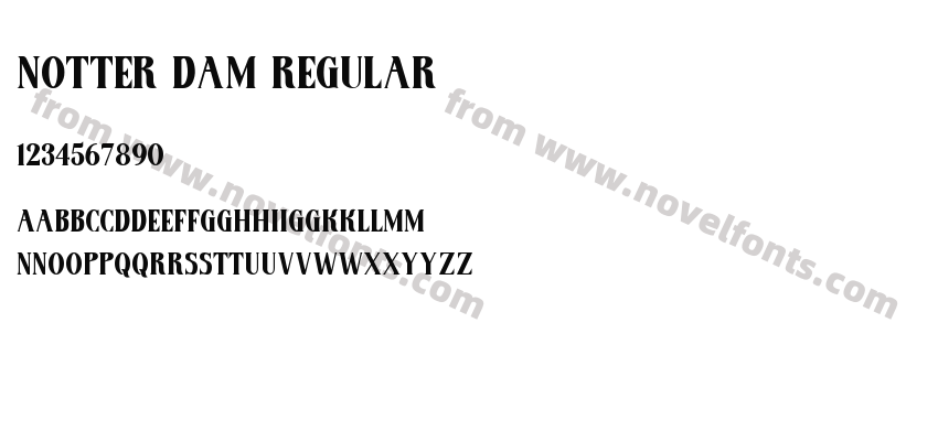 Notter Dam RegularPreview