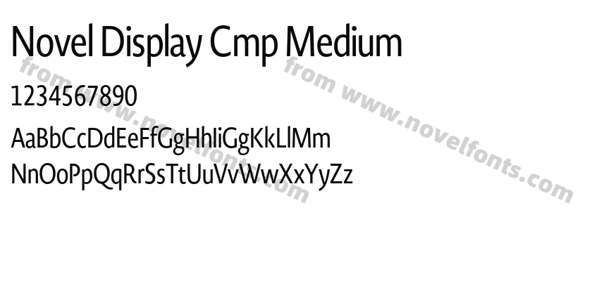 Novel Display Cmp MediumPreview