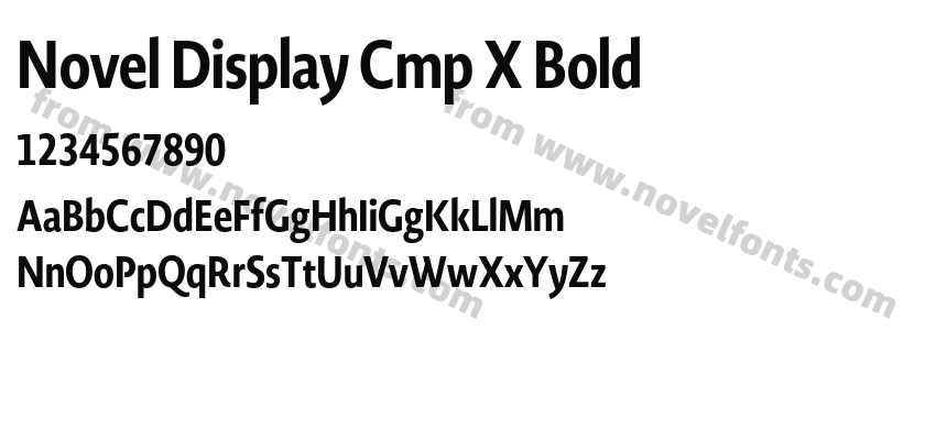 Novel Display Cmp X BoldPreview