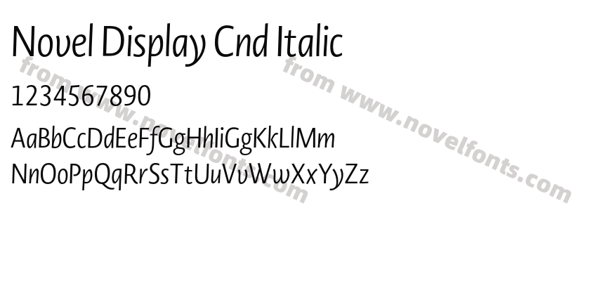 Novel Display Cnd ItalicPreview