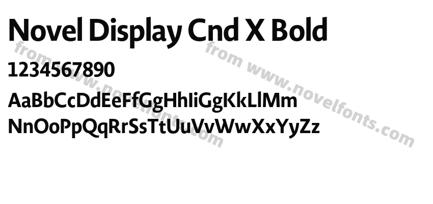 Novel Display Cnd X BoldPreview