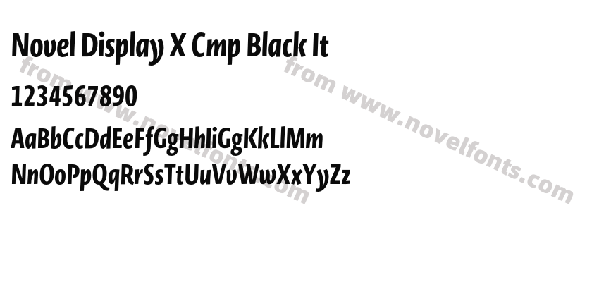 Novel Display X Cmp Black ItPreview