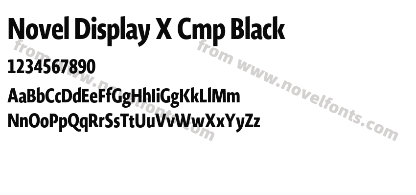 Novel Display X Cmp BlackPreview