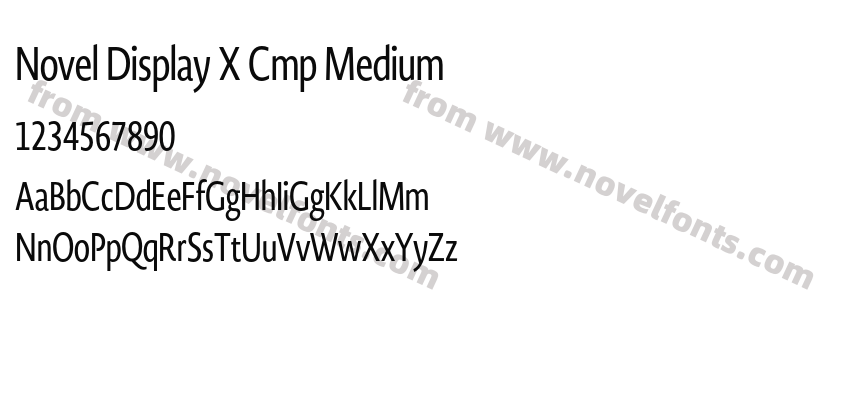 Novel Display X Cmp MediumPreview