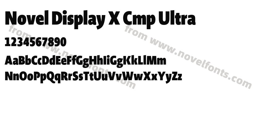 Novel Display X Cmp UltraPreview