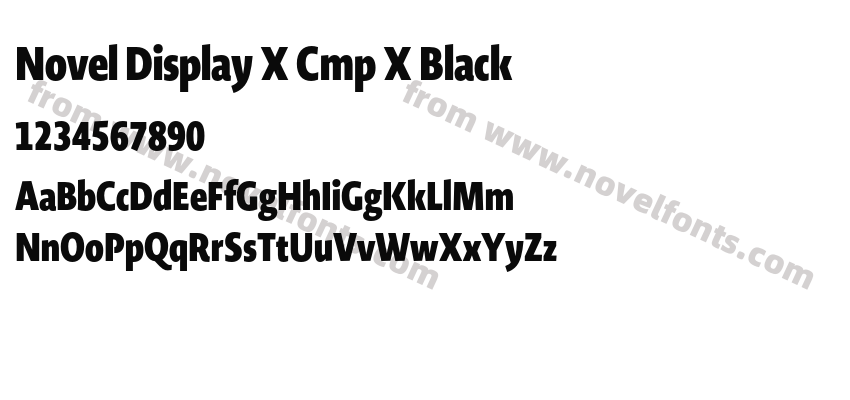 Novel Display X Cmp X BlackPreview