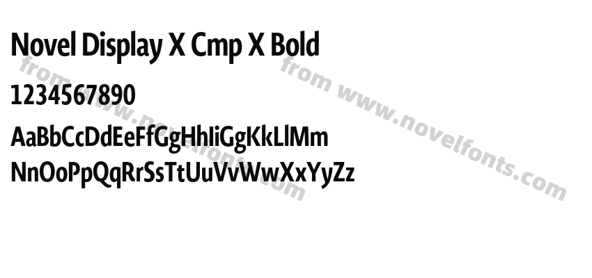 Novel Display X Cmp X BoldPreview