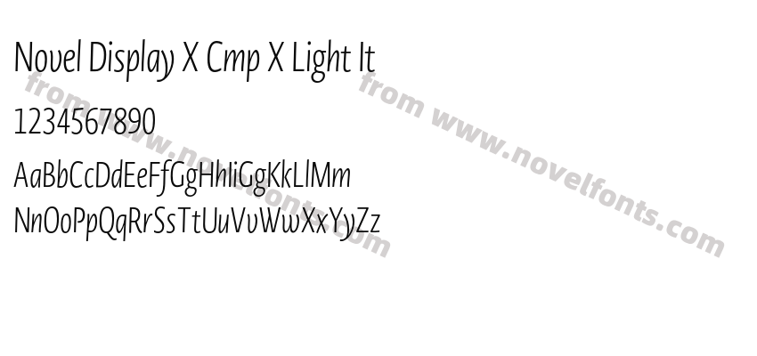 Novel Display X Cmp X Light ItPreview
