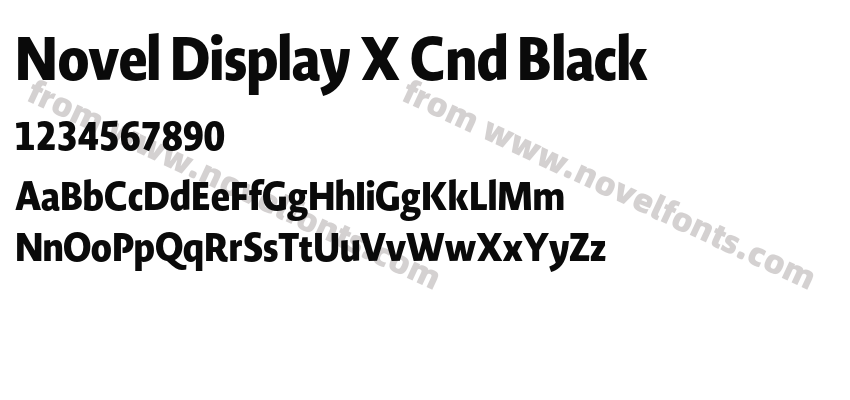 Novel Display X Cnd BlackPreview