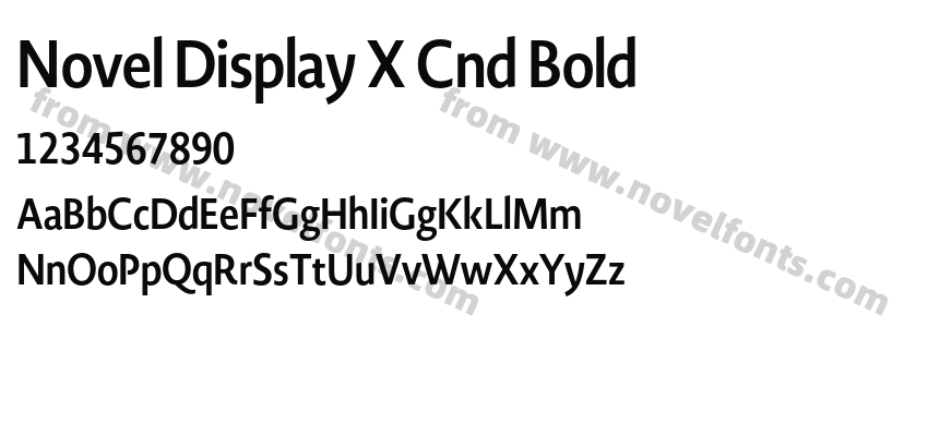 Novel Display X Cnd BoldPreview