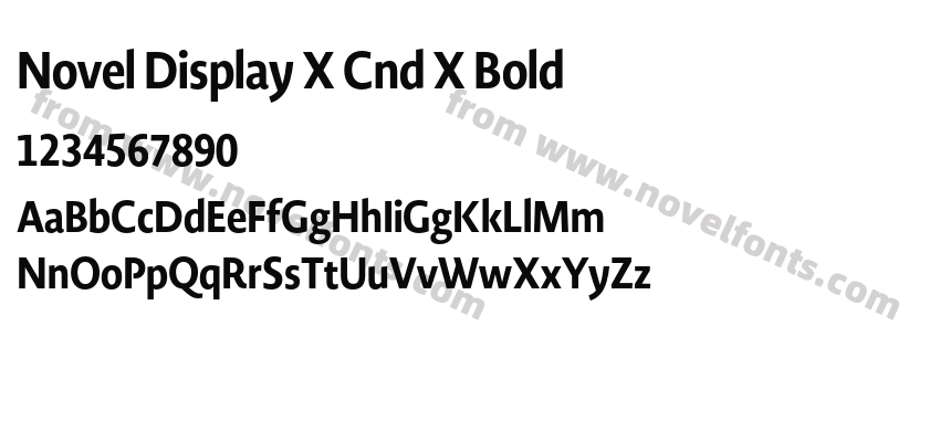 Novel Display X Cnd X BoldPreview