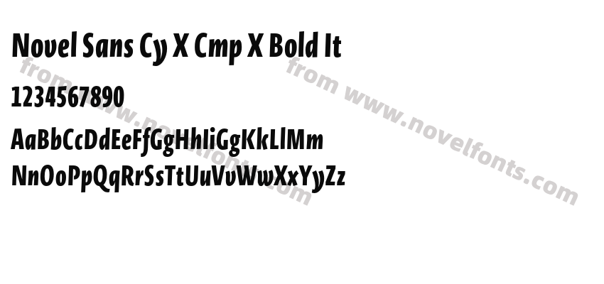 Novel Sans Cy X Cmp X Bold ItPreview