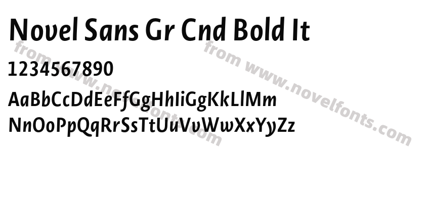 Novel Sans Gr Cnd Bold ItPreview