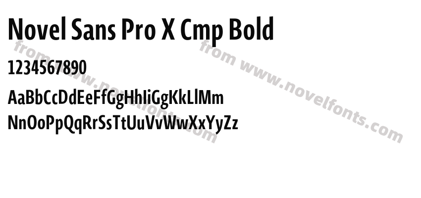 Novel Sans Pro X Cmp BoldPreview