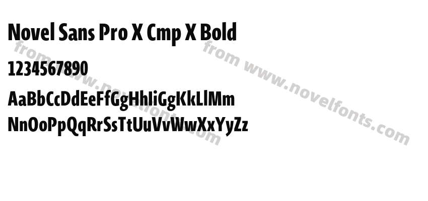Novel Sans Pro X Cmp X BoldPreview