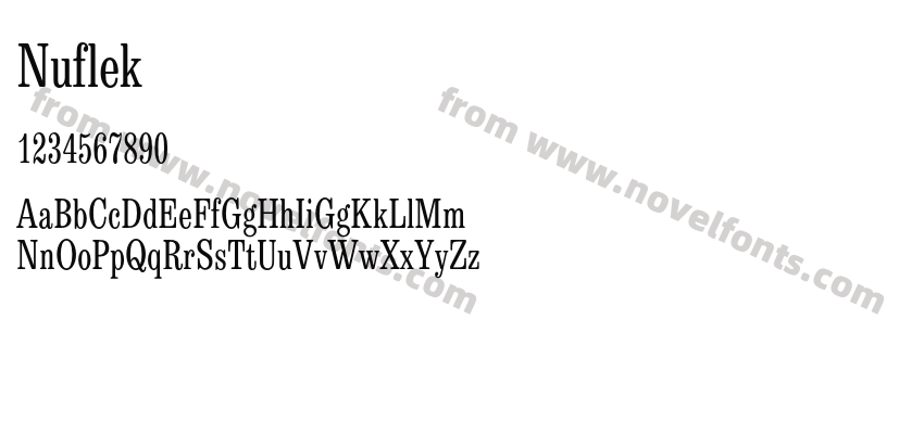 NuflekPreview