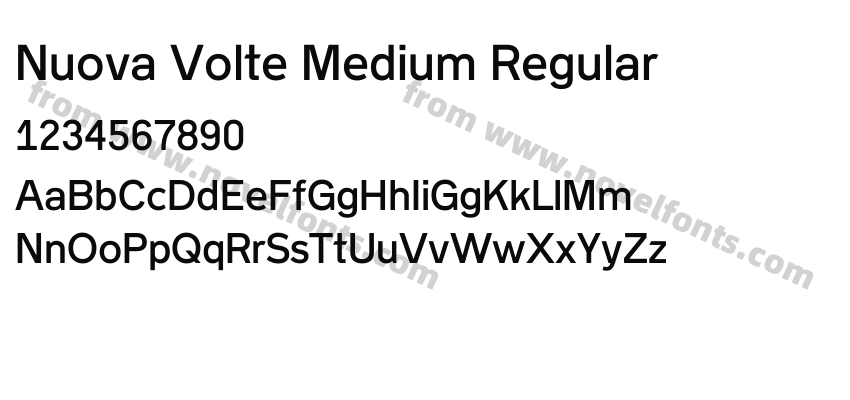Nuova Volte Medium RegularPreview