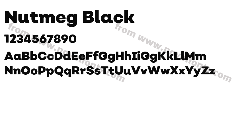 Nutmeg BlackPreview