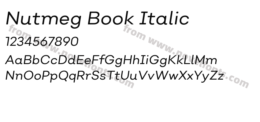 Nutmeg Book ItalicPreview