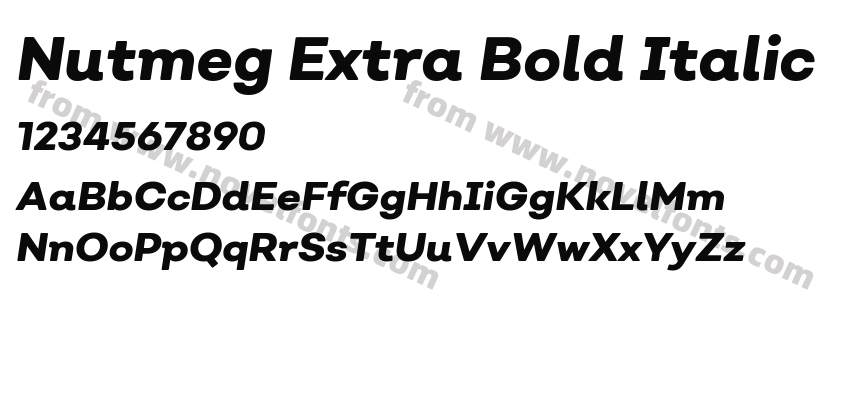 Nutmeg Extra Bold ItalicPreview