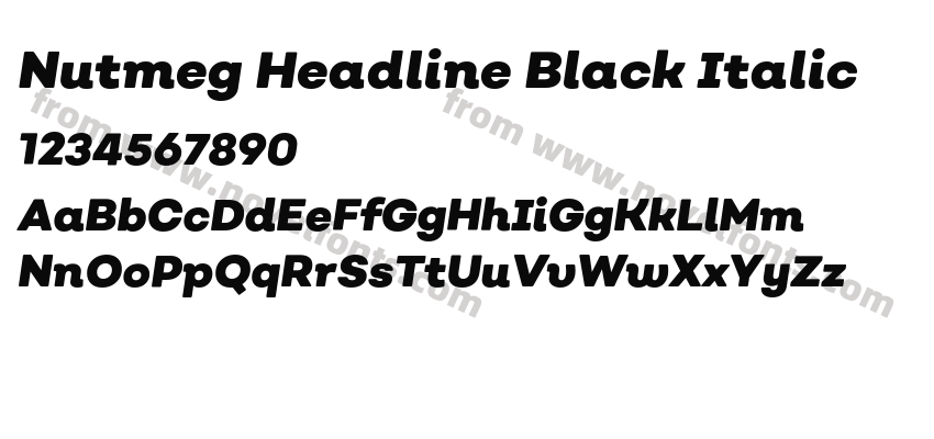 Nutmeg Headline Black ItalicPreview