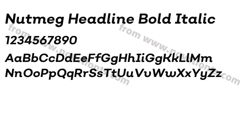 Nutmeg Headline Bold ItalicPreview