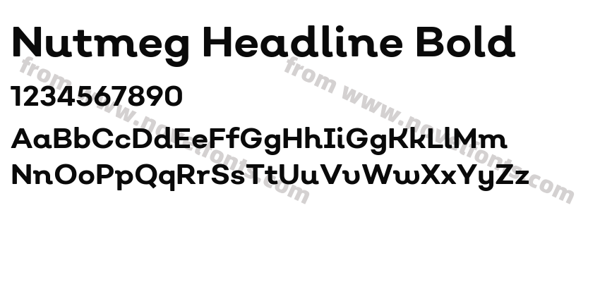 Nutmeg Headline BoldPreview