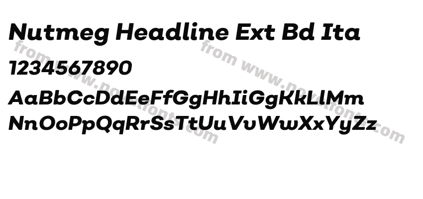Nutmeg Headline Ext Bd ItaPreview