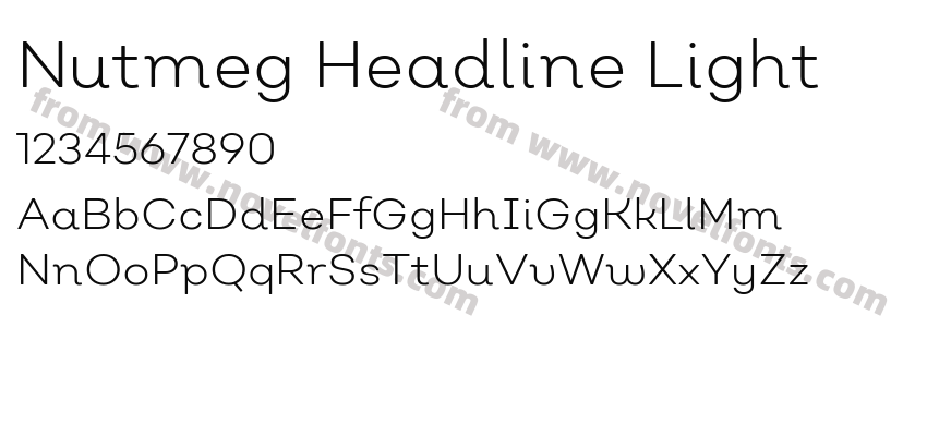 Nutmeg Headline LightPreview