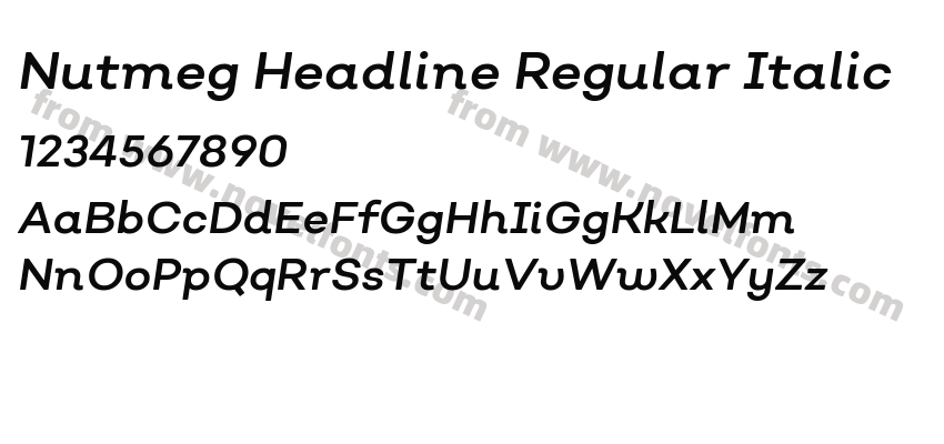 Nutmeg Headline Regular ItalicPreview