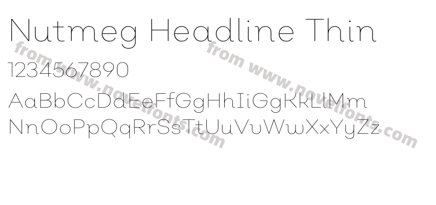 Nutmeg Headline ThinPreview