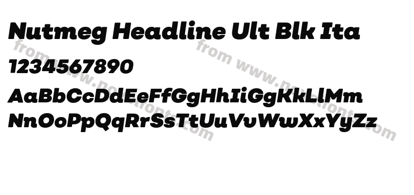 Nutmeg Headline Ult Blk ItaPreview